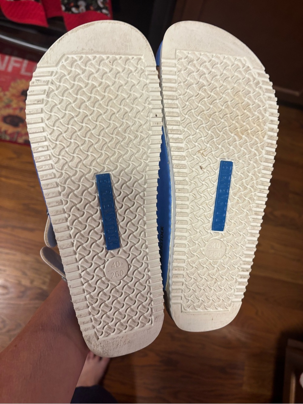 Birkenstock Women’s Blue Clogs with Brown Dog Graphic - Picture 2 of 8